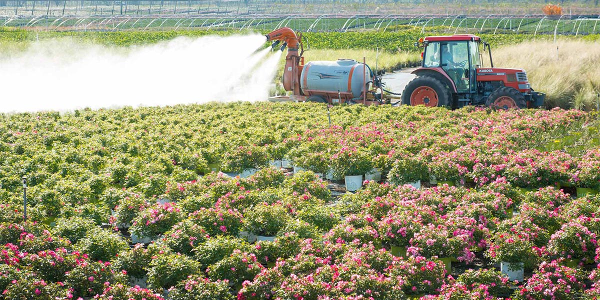 Solution Category - Weed and Insect Management