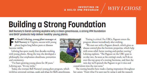 Building a Strong Foundation