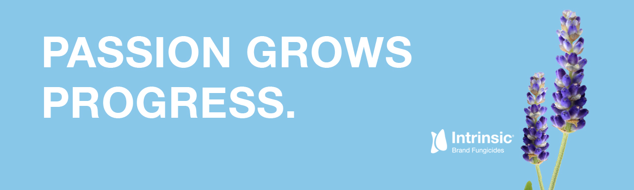 INTRINSIC® BRAND FUNGICIDE