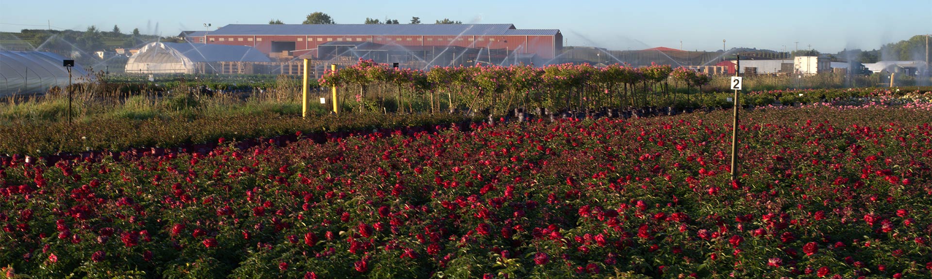 PENDULUM® AQUACAP HERBICIDE