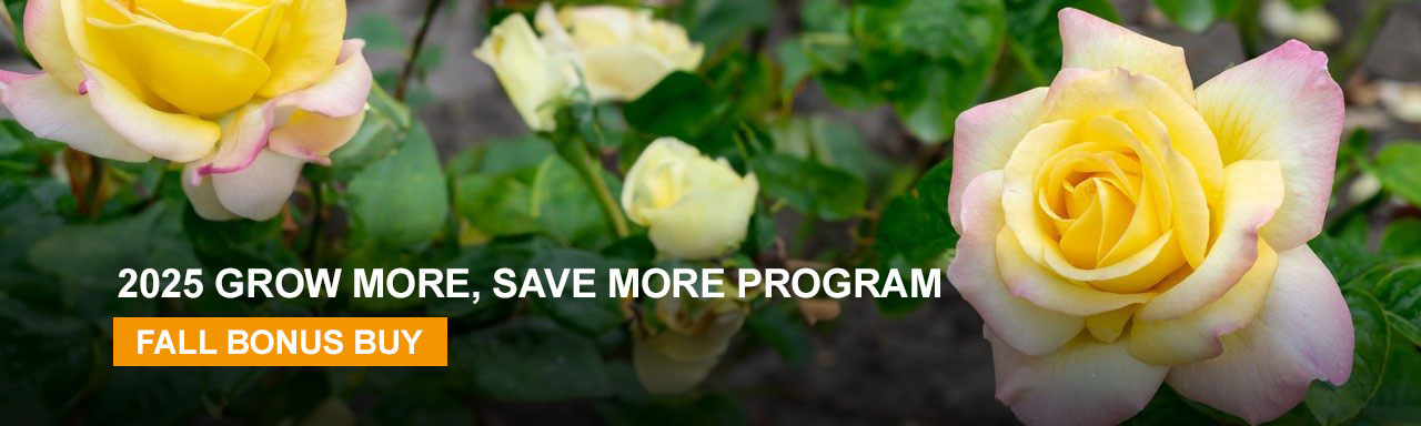 2025 Grow More Save More