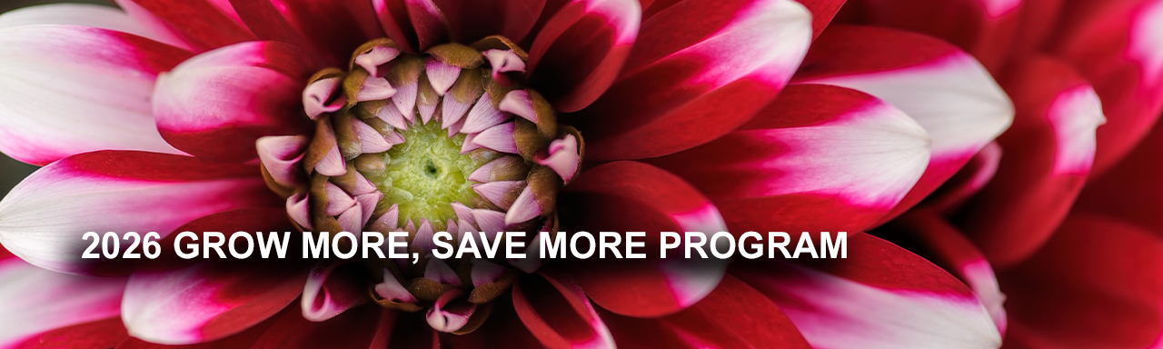 2025 Grow More Save More