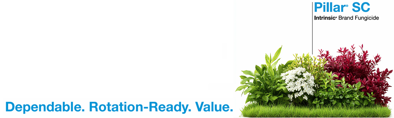 Pillar SC Intrinsic Brand Fungicide 