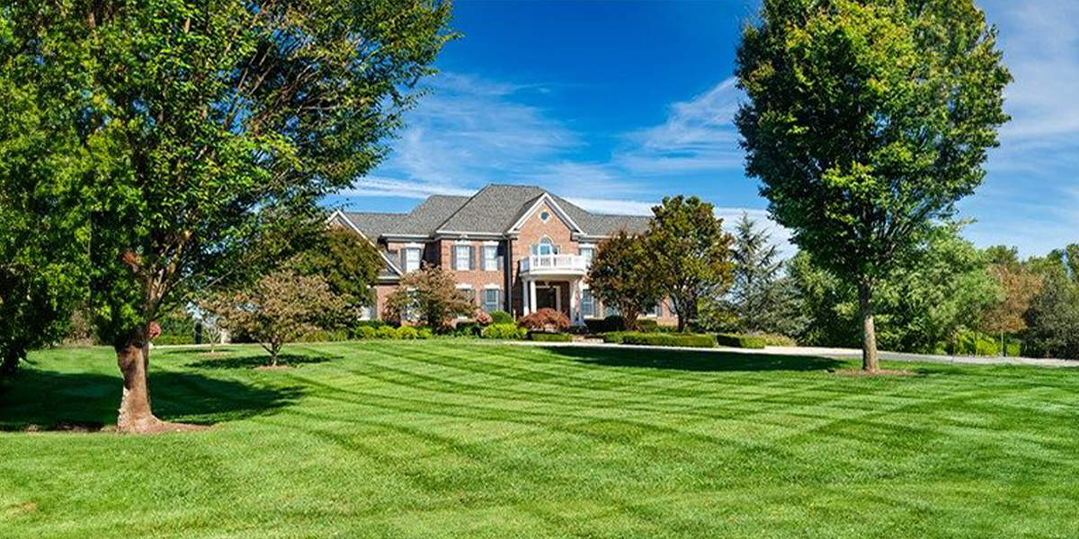 Learn more about FreeHand 1.75G  herbicide