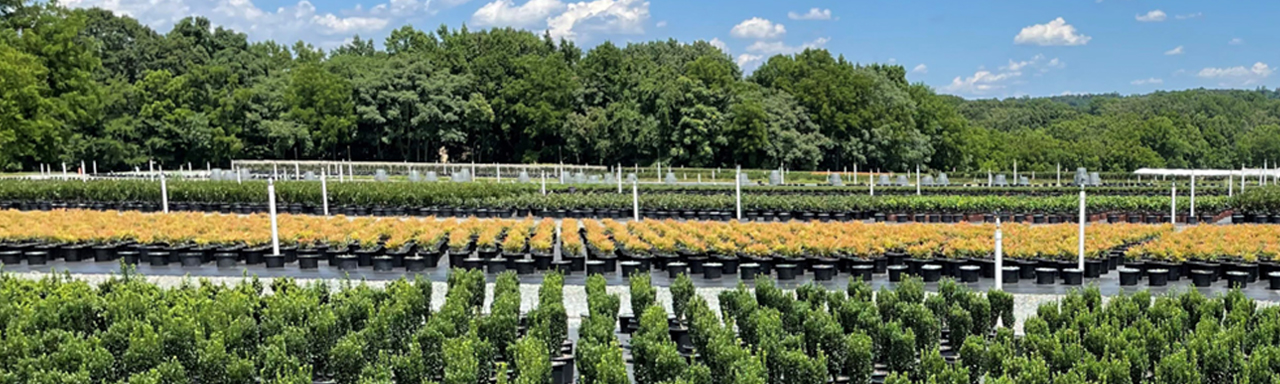 FREEHAND® 1.75G HERBICIDE AND FREEHAND CA 1.75G HERBICIDE