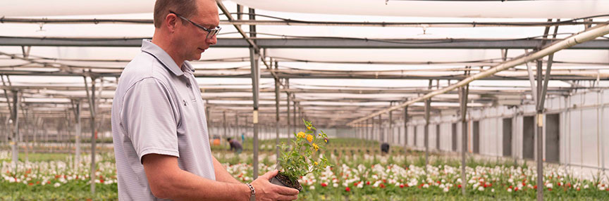 Case Study: Young’s Plant Farm