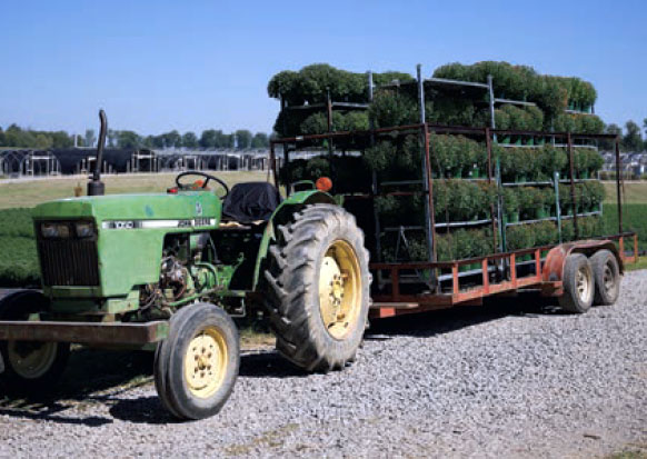Pope’s Plant Farm