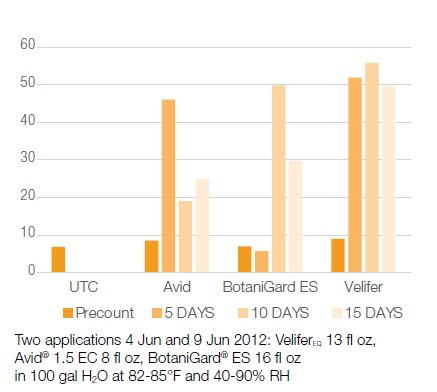 Two applications 4 Jun and 9 Jun 2012: VeliferEQ 13 fl oz, Avid® 1.5 EC 8 fl oz, BotaniGard® ES 16 fl oz in 100 gal H2O at 82-85°F and 40-90% RH